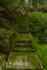 山中の苔むした階段