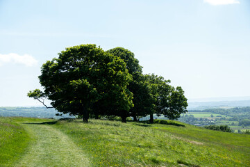 view of trees and countryside from the Cotswold Way National Trail at Dyrham England