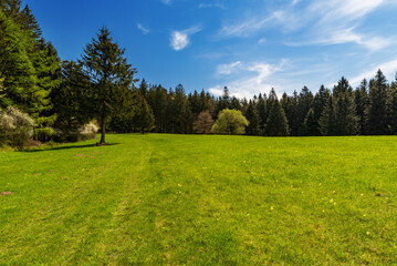 Fototapeta na wymiar Fresh green springtime meadow with trees around and blue sky with clouds in Bile Karpaty mountains in Czech republic