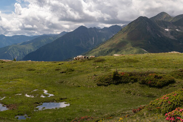A bucolic mountain pasture near Monte Luco in the Maddalene group in South Tyrol-Italy