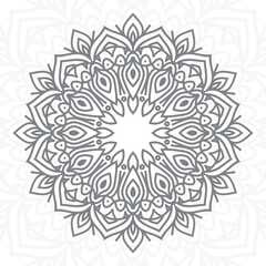 Decorative mandala design background illustration ornamental vector