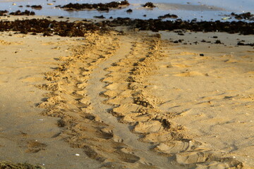 Footprints in the sand on the mediterranean sea