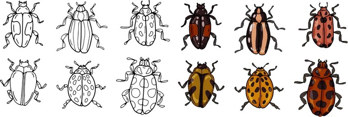 Beetles insects large set separately on a white background coloring book for children sketch doodle hand drawn
