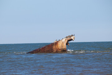 Sunken ship in the water with shorebirds on top at Sunset beach in Cape May New Jersey