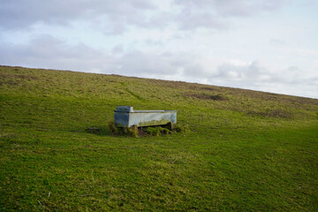 Livestock drinking trough in the middle of a grazing field
