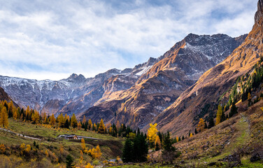 Plaine dans le Tirol en automne (Autriche)