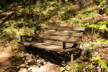 Park Bench In The Outdoors 