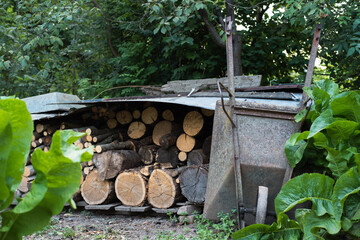 Fototapeta premium iron wheelbarrow in the garden village