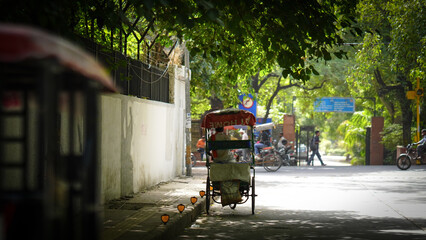 rickshaw driver in india man