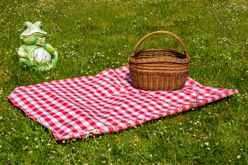 Red checked picnic blanket with empty basket on a meadow with daisies in bloom. Beautiful backdrop...