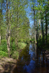 Fototapeta premium beautiful views of latvia