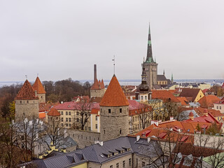 Fototapeta premium High angle view of downtown Tallinn, Estonia, showing gothic church towers and medieval city walls and houses with orange tiled roofs. 