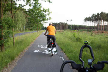 Kierownica roweru, rowerzysta na ścieżce rowerowej w lesie. - obrazy, fototapety, plakaty