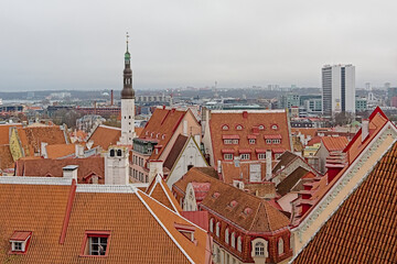 Obraz premium High angle view of downtown Tallinn, showing Holy spirit church tower and houses with orange tiled roofs. 