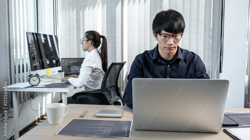Aufkleber team of two professional programmers working on website projects in software development and making 
