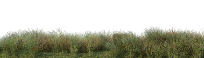 3D render flowers and shrubs with white background