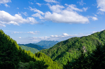 御荷鉾スーパー林道から見る山の風景