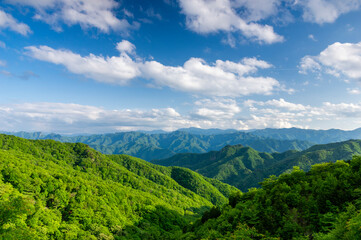 Fototapeta na wymiar 御荷鉾スーパー林道の展望台から見る山の風景