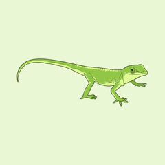 Green Lizard Vector Illustration, green lizard in the rainforest, green lizard pet illustration