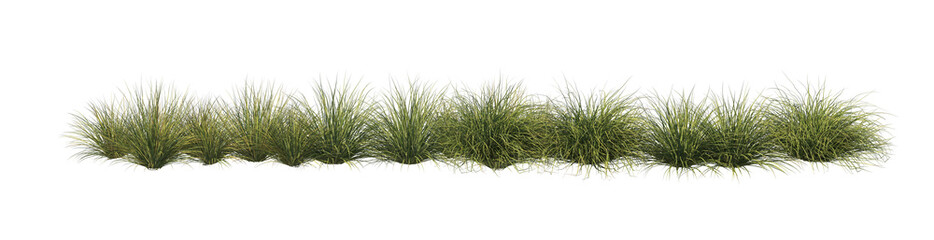 3D render flowers and shrubs with white background