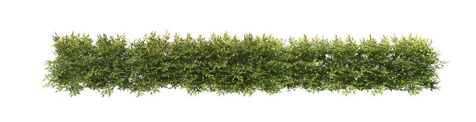 3D render flowers and shrubs with white background