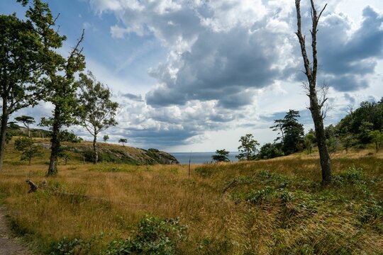 Beautiful shot of a puffy cloudy sky over the field