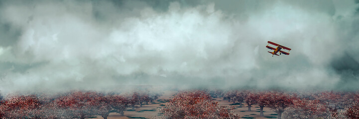 old airplane in the sky © juanjo