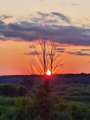 Summer sunset dream sky