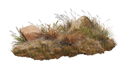 3d render grass and shrub with white background