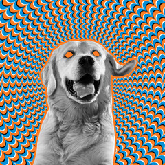 Contemporary art collage with dog silhouette like zombie isolated on optical illusion pattern...