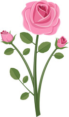 Rose elements clipart design illustration