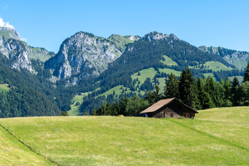 Fototapeta na wymiar Diemigtal in der Schweiz