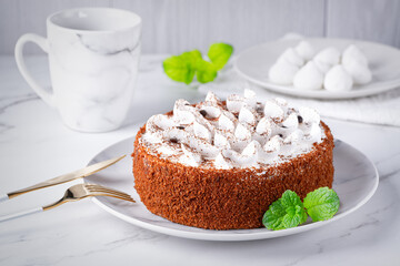 Perfect homemade tiramisu cake sprinkled with cocoa powder on plate over white marble tabletop