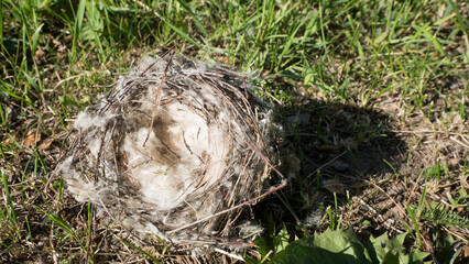 A birds fallen nest rests on the ground.