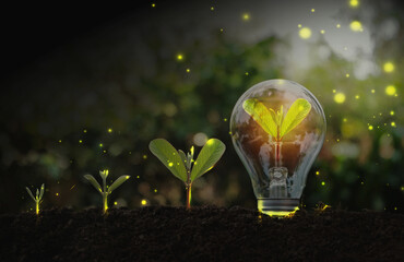 A light bulb with a sapling on the ground and sunlight. In a clean energy concept. Sustainable...