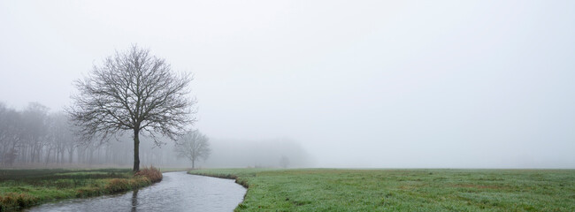 trees along canal near forest in dutch province of utrecht on misty winter day