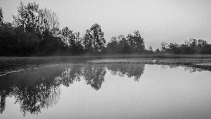 Reflet matinale