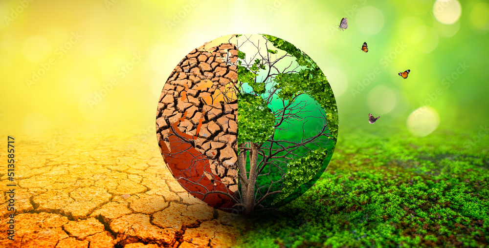 Wall mural tree in two with very different environments earth day or world environment day global warming and p