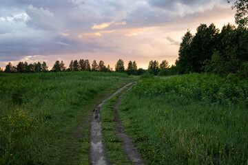 Fototapeta na wymiar Road in the field at sunset. Cloudy sky before a thunderstorm.