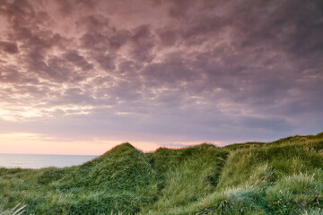 Sunset over a landscape with clouds, copy space and lush green grass growing on empty beach sand dunes on the coast of Jutland in Loekken, Denmark. Cloudy pink dusk sky in the evening with copyspace