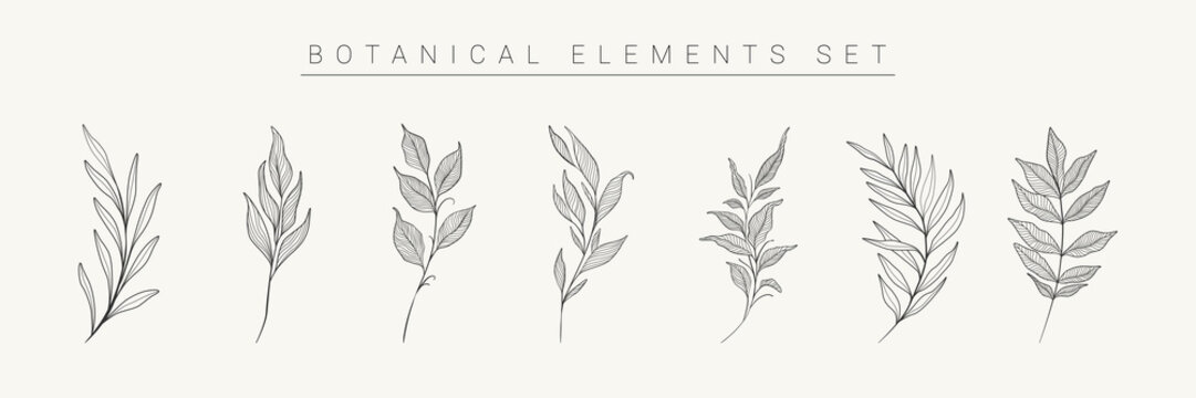 Leaves Branches Collection. Botanical Elements, Hand Drawn Leaves Silhouettes. Vector EPS 10