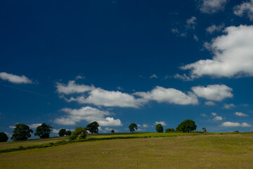 Farmland on hill with trees on top under blue sky with clouds in Wales