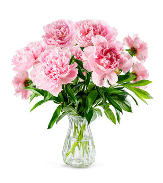 Pink peony flowers in glass vase isolated on white background. Bouquet of peonies.