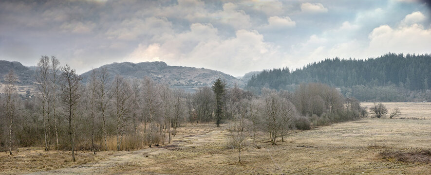 Landscape view of arid dry remote land in nature during winter. Bare trees on a vast field and meadow with mountains and hills in the background. Exploring mother nature on weekend in recreation hike