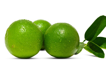 Fresh green lime (lemon) fruit isolated on white background