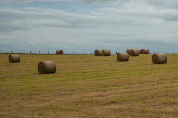 Hay bales in at a hilly field in Wales