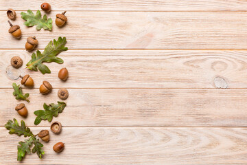 Branch with green oak tree leaves and acorns on colored background, close up top view