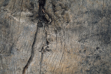 Wood texture. Surface of teak wood background for design and decoration