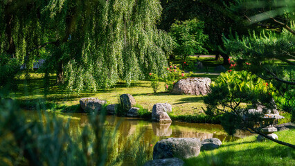 Fototapeta na wymiar amazing red rhododendron bush blossoms and pond in japanese garden in Tallinn