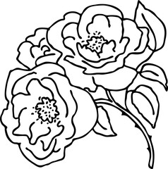 Beautiful roses with leaves. Romantic bohemian flowers  bouquet decorative element for birthday party postcard, wedding celebration invitation. Hand drawn vector illustration. Line art style drawing